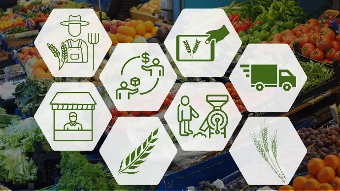 Our Story Agsure Innovations Story